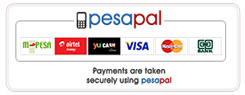 secure online payment portal with pesapal